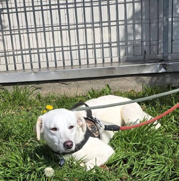 ALICE CAGNOLINA DELIZIOSA Foto 4